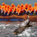 Zhejiang_Fishermen_Celebrate_First_Bumper_Catch_of_the_Year_at_Qiandao_Lake