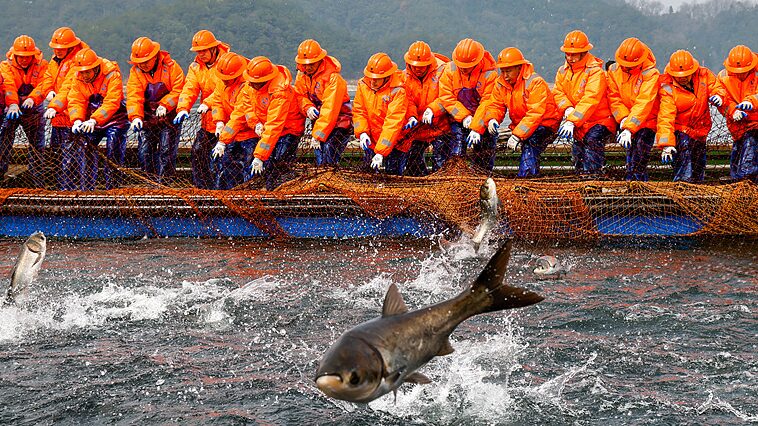 Zhejiang_Fishermen_Celebrate_First_Bumper_Catch_of_the_Year_at_Qiandao_Lake