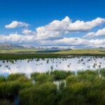 Zogye_Wetlands__Witness_to_History_and_Sanctuary_for_Biodiversity video poster