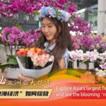 Asia_s_Largest_Flower_Market_Blossoms_with_Record___1_6B_Trade video poster