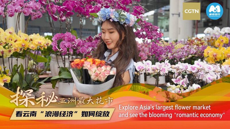 Asia_s_Largest_Flower_Market_Blossoms_with_Record___1_6B_Trade_poster-2 - Khabar Asia Asia_s_Largest_Flower_Market_Blossoms_with_Record___1_6B_Trade video poster