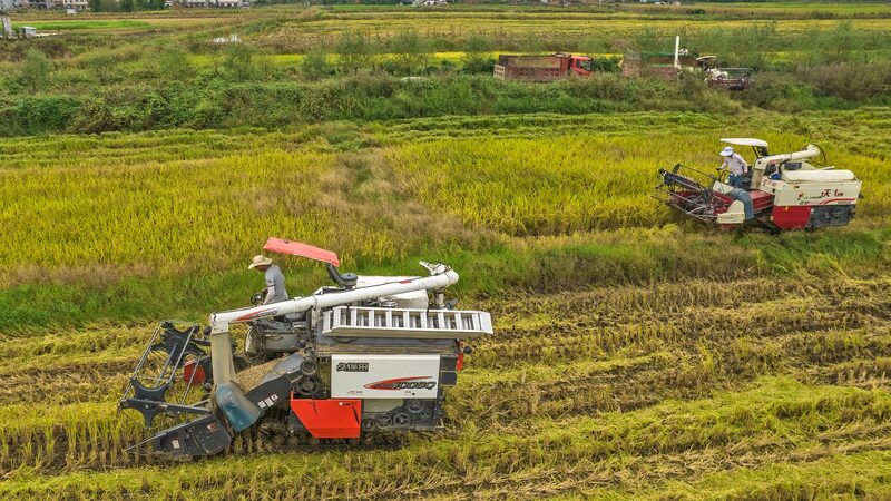 China_Bolsters_Farm_Supply_Stability_to_Meet_700M_Ton_Grain_Target - Khabar Asia China_Bolsters_Farm_Supply_Stability_to_Meet_700M_Ton_Grain_Target