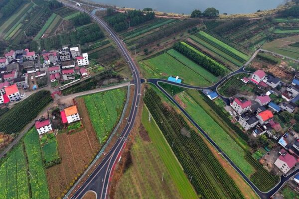 China Prioritizes Rural Revitalization and Agricultural Growth in Latest Policy China_Prioritizes_Rural_Revitalization_and_Agricultural_Growth_in_Latest_Policy