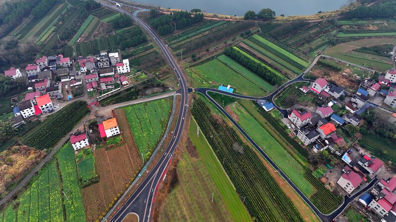 China_Prioritizes_Rural_Revitalization_and_Agricultural_Growth_in_Latest_Policy