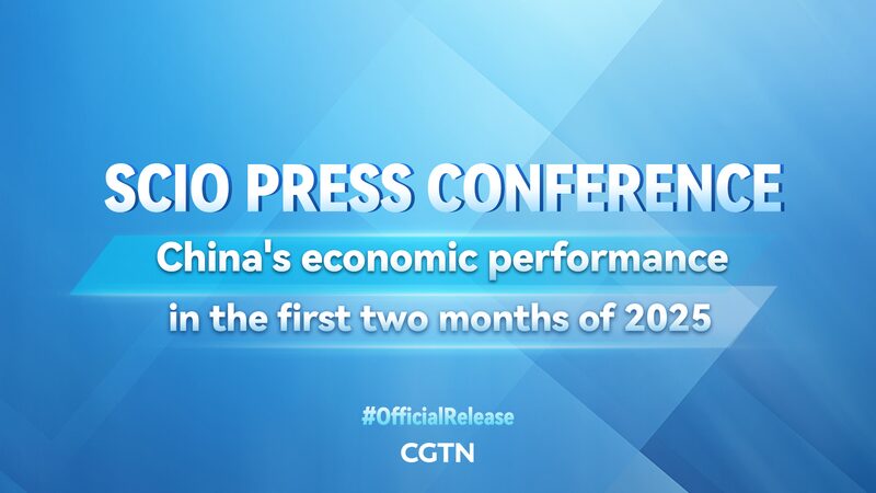 China_s_Economic_Update__Early_2025_Live_Briefing video poster