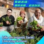 China_s_Organic_Farming_Flourishes__Boosting_Economy_and_Community_poster - Khabar Asia China_s_Organic_Farming_Flourishes__Boosting_Economy_and_Community video poster