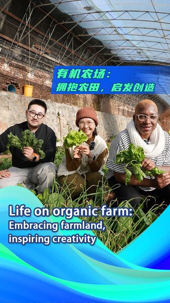 China_s_Organic_Farming_Flourishes__Boosting_Economy_and_Community video poster