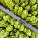 China_s_Tree_Planting_Day_Cultivates_Green_Momentum