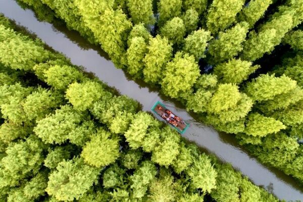 China’s Tree-Planting Day Cultivates Green Momentum China_s_Tree_Planting_Day_Cultivates_Green_Momentum