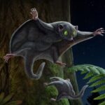 Dark_Fur_Key_to_Early_Mammals__Survival__Study_Reveals - Khabar Asia Dark_Fur_Key_to_Early_Mammals__Survival__Study_Reveals
