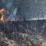 Deadly_U_S__Storm_System_Kills_42__Triggers_Rare__High_Risk__Alert - Khabar Asia Deadly_U_S__Storm_System_Kills_42__Triggers_Rare__High_Risk__Alert