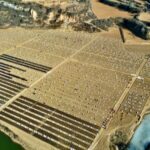 From_Barren_to_Bountiful__Shanxi_s_Chili_Farms_Revive_Riverbank_Wasteland video poster