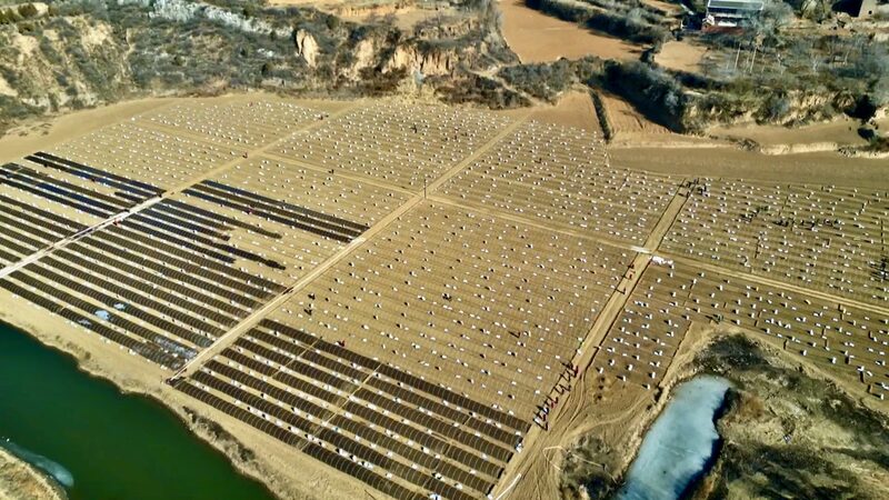 From_Barren_to_Bountiful__Shanxi_s_Chili_Farms_Revive_Riverbank_Wasteland video poster