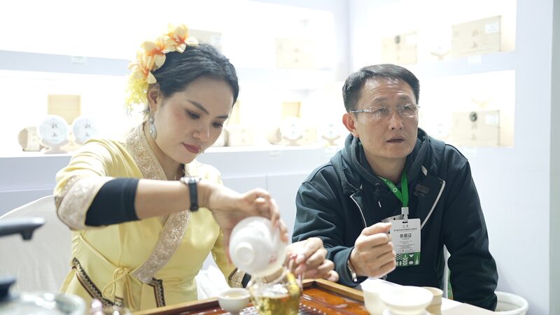 From_Wild_Leaves_to_Global_Cups__Yunnan_s_Bingdao_Pu_er_Tea_Rises_poster - Khabar Asia From_Wild_Leaves_to_Global_Cups__Yunnan_s_Bingdao_Pu_er_Tea_Rises video poster