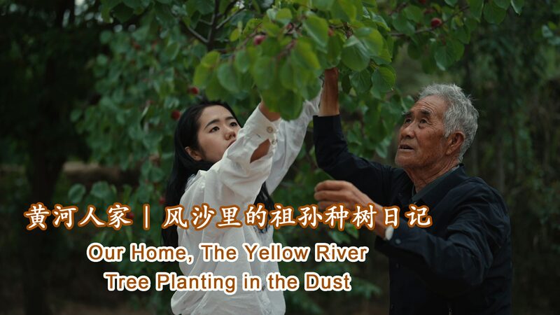 Green_Oasis_Emerges__Grandfather_and_Granddaughter_Revive_Ningxia_s_Barren_Hills video poster