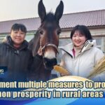 How_Rural_China_s_Voices_Shape_National_Policies_via_Two_Sessions_poster - Khabar Asia How_Rural_China_s_Voices_Shape_National_Policies_via_Two_Sessions video poster