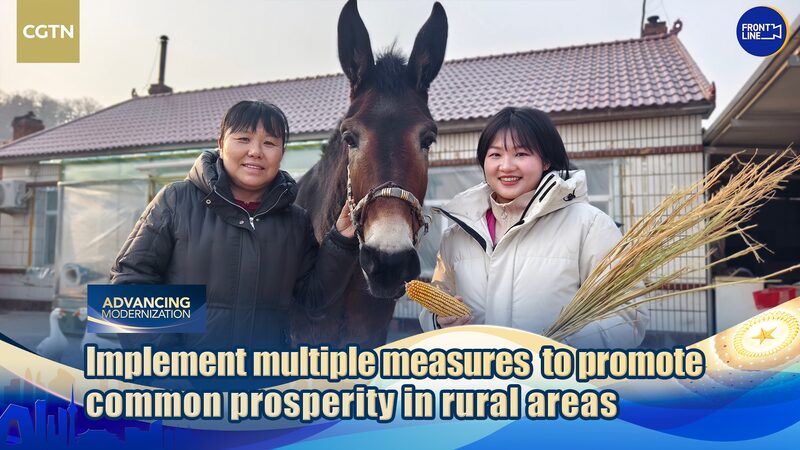 How_Rural_China_s_Voices_Shape_National_Policies_via_Two_Sessions video poster