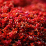 Hunan_s__Duojiao__Chilies__A_Fiery_Staple_with_a_Buzz