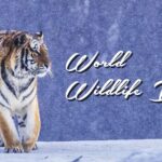 Investing_in_Wildlife__Securing_Our_Planet_s_Future - Khabar Asia Investing_in_Wildlife__Securing_Our_Planet_s_Future