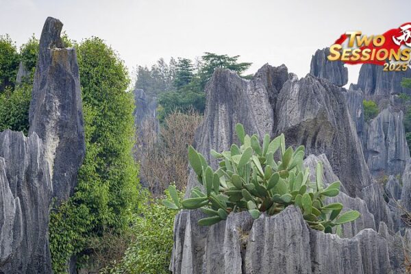 Join Us Live: Explore Shenjian Stone Forest’s Enchanting Karst Landscapes in Guangxi Join_Us_Live__Explore_Shenjian_Stone_Forest_s_Enchanting_Karst_Landscapes_in_Guangxi video poster