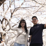 LGCZEXPIJ5SIKGG7SXF6 - Khabar Asia Wuhan’s Cherry Blossoms: Where Poetry Meets AI Innovation video poster