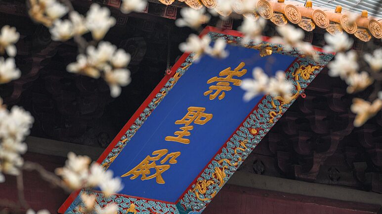 Magnolias_in_Bloom__Nanjing_s_Chaotian_Palace_Welcomes_Spring - Khabar Asia Magnolias_in_Bloom__Nanjing_s_Chaotian_Palace_Welcomes_Spring