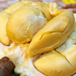 Malaysian_Durians_Boom_in_China_as_Exports_Expand - Khabar Asia Malaysian_Durians_Boom_in_China_as_Exports_Expand