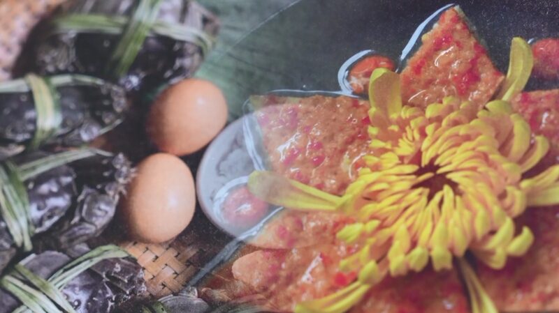 Researcher_Revives_Lost_Flavors_of_Song_and_Yuan_Dynasties_poster - Khabar Asia Researcher_Revives_Lost_Flavors_of_Song_and_Yuan_Dynasties video poster