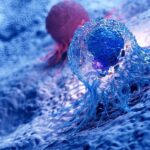 Scientists_Discover_Telomeres__Active_Role_in_Cancer_Defense