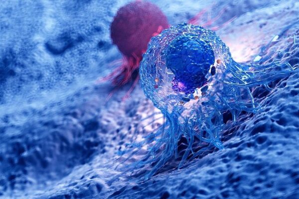 Scientists Discover Telomeres’ Active Role in Cancer Defense Scientists_Discover_Telomeres__Active_Role_in_Cancer_Defense