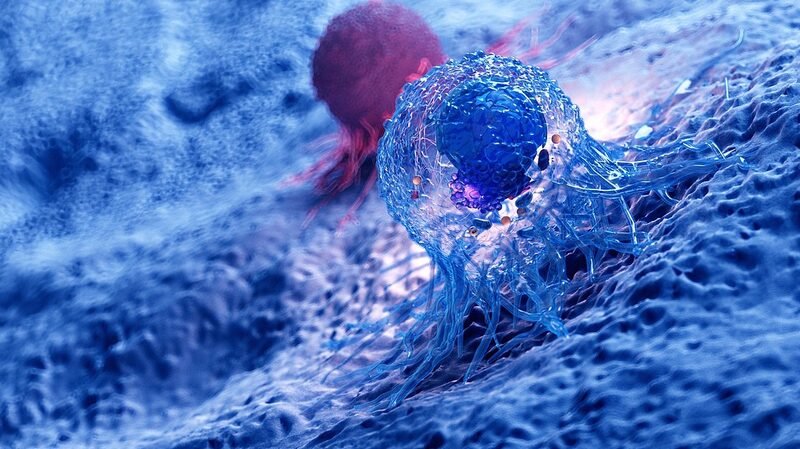 Scientists_Discover_Telomeres__Active_Role_in_Cancer_Defense - Khabar Asia Scientists_Discover_Telomeres__Active_Role_in_Cancer_Defense
