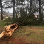 Severe_Storms_Disrupt_Power_in_Great_Lakes__Tennessee_on_Alert - Khabar Asia Severe_Storms_Disrupt_Power_in_Great_Lakes__Tennessee_on_Alert
