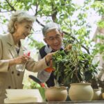 Sichuan_Enhances_Elderly_Care_Amid_Aging_Population_Growth - Khabar Asia Sichuan_Enhances_Elderly_Care_Amid_Aging_Population_Growth
