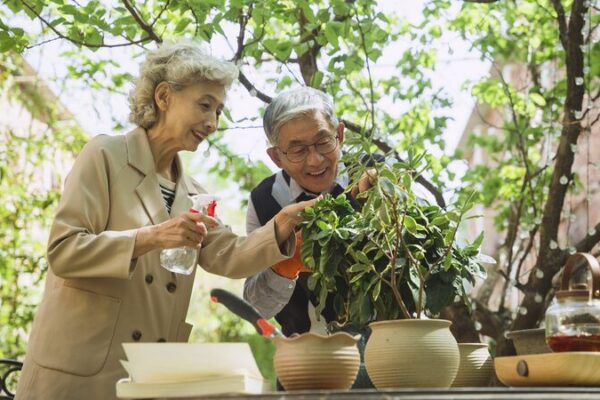 Sichuan Enhances Elderly Care Amid Aging Population Growth Sichuan_Enhances_Elderly_Care_Amid_Aging_Population_Growth