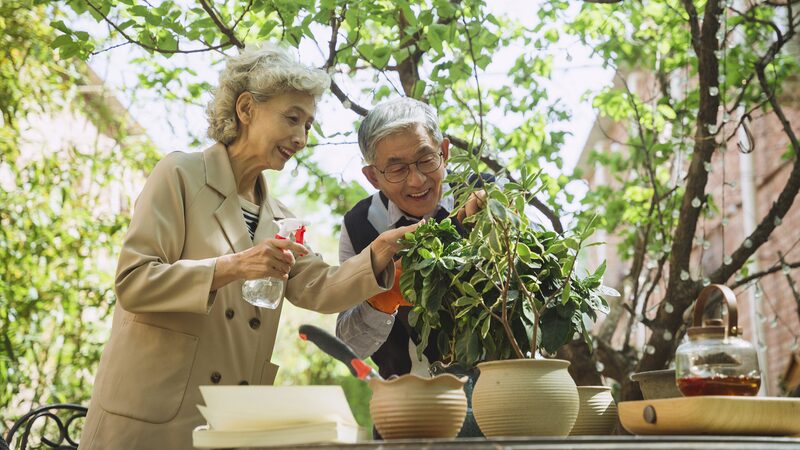 Sichuan_Enhances_Elderly_Care_Amid_Aging_Population_Growth