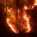 South_Korea_Faces_Deadliest_Wildfires_in_History_as_Crisis_Escalates_poster - Khabar Asia South_Korea_Faces_Deadliest_Wildfires_in_History_as_Crisis_Escalates video poster