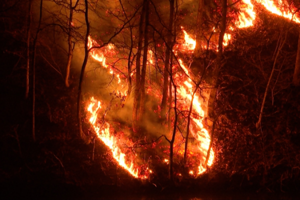 South_Korea_Faces_Deadliest_Wildfires_in_History_as_Crisis_Escalates video poster