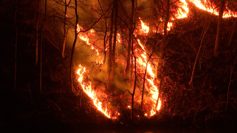 South_Korea_Faces_Deadliest_Wildfires_in_History_as_Crisis_Escalates video poster