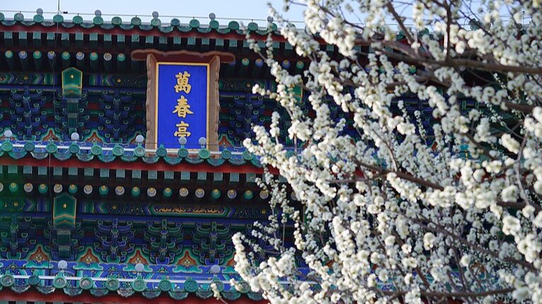 Spring Blooms Paint Beijing’s Jingshan Park in Vibrant Hues Spring_Blooms_Paint_Beijing_s_Jingshan_Park_in_Vibrant_Hues