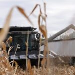 US_Farmers_Face_Dual_Squeeze_as_Tariffs_Curtail_Exports__Hike_Costs - Khabar Asia US_Farmers_Face_Dual_Squeeze_as_Tariffs_Curtail_Exports__Hike_Costs