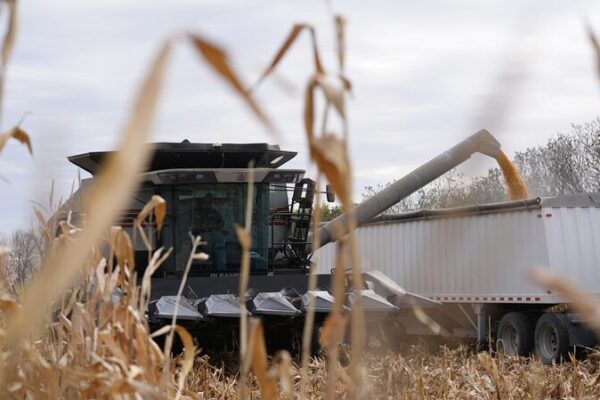 US Farmers Face Dual Squeeze as Tariffs Curtail Exports, Hike Costs US_Farmers_Face_Dual_Squeeze_as_Tariffs_Curtail_Exports__Hike_Costs