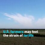 U_S__Farmers_Brace_for_Tariff_Impact_as_Trade_Tensions_Rise video poster