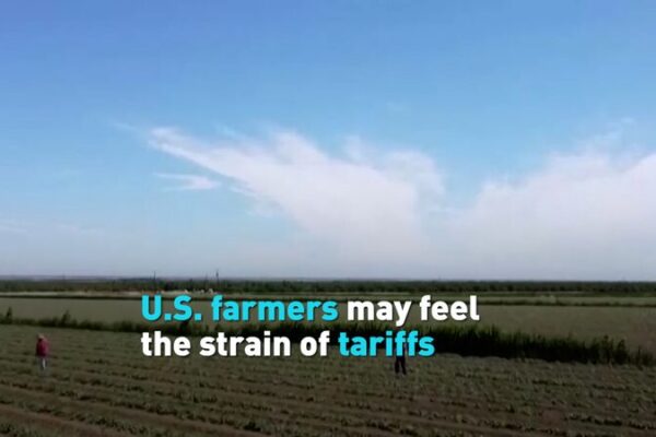 U.S. Farmers Brace for Tariff Impact as Trade Tensions Rise U_S__Farmers_Brace_for_Tariff_Impact_as_Trade_Tensions_Rise video poster