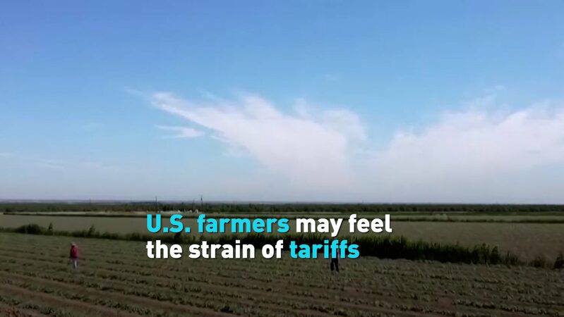 U_S__Farmers_Brace_for_Tariff_Impact_as_Trade_Tensions_Rise_poster - Khabar Asia U_S__Farmers_Brace_for_Tariff_Impact_as_Trade_Tensions_Rise video poster