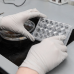 U_S__Scientists_Consider_Exodus_Amid_Policy_Shifts__Nature_Survey - Khabar Asia U_S__Scientists_Consider_Exodus_Amid_Policy_Shifts__Nature_Survey