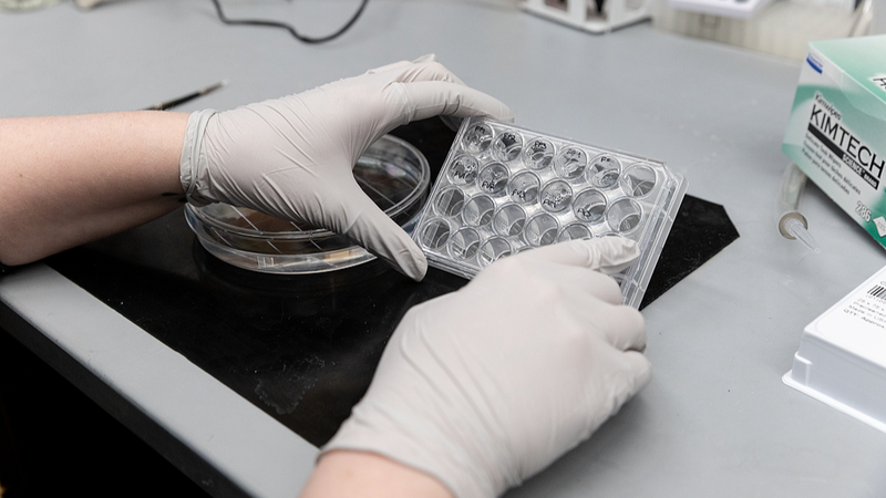 U_S__Scientists_Consider_Exodus_Amid_Policy_Shifts__Nature_Survey - Khabar Asia U_S__Scientists_Consider_Exodus_Amid_Policy_Shifts__Nature_Survey