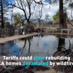 U_S__Tariffs_Threaten_Wildfire_Recovery_Efforts_in_California video poster