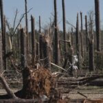 U_S__Weather_Turmoil_Kills_37_Amid_Tornadoes__Wildfires - Khabar Asia U_S__Weather_Turmoil_Kills_37_Amid_Tornadoes__Wildfires