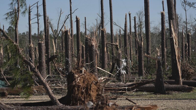 U_S__Weather_Turmoil_Kills_37_Amid_Tornadoes__Wildfires