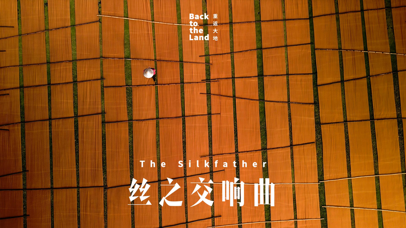 VBFMBHSHMCPT2U3JWO2A - Khabar Asia Foshan’s Secret Silk Legacy: Beyond Martial Arts video poster